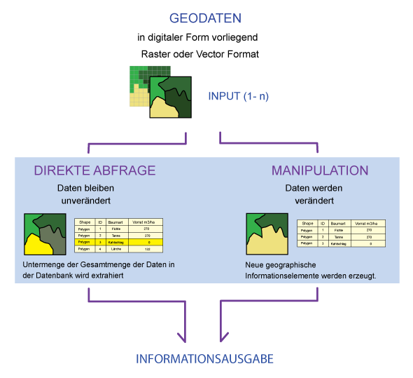 Fig. D: Classification of the query into direct query and manipulation